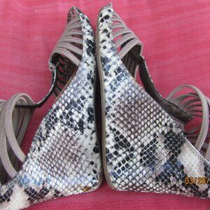 Snake Skin Shoes